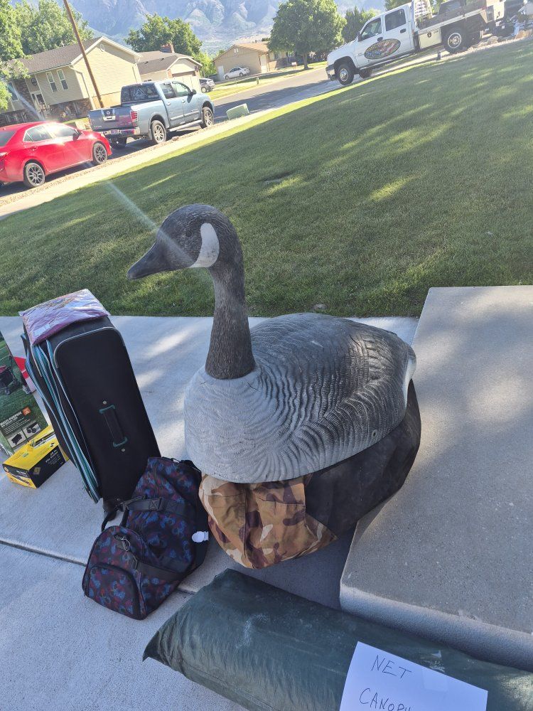 Goose mega shells
