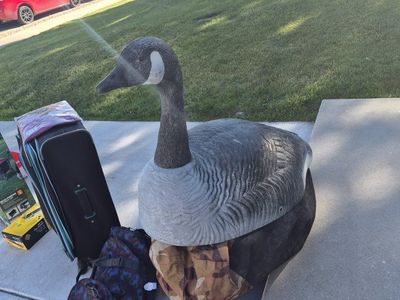 Goose mega shells