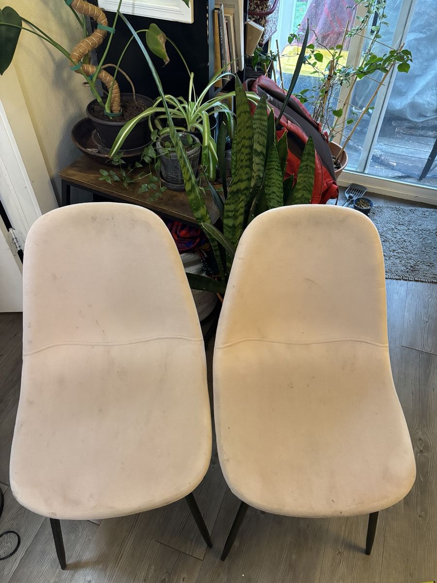 Light pink suede chairs