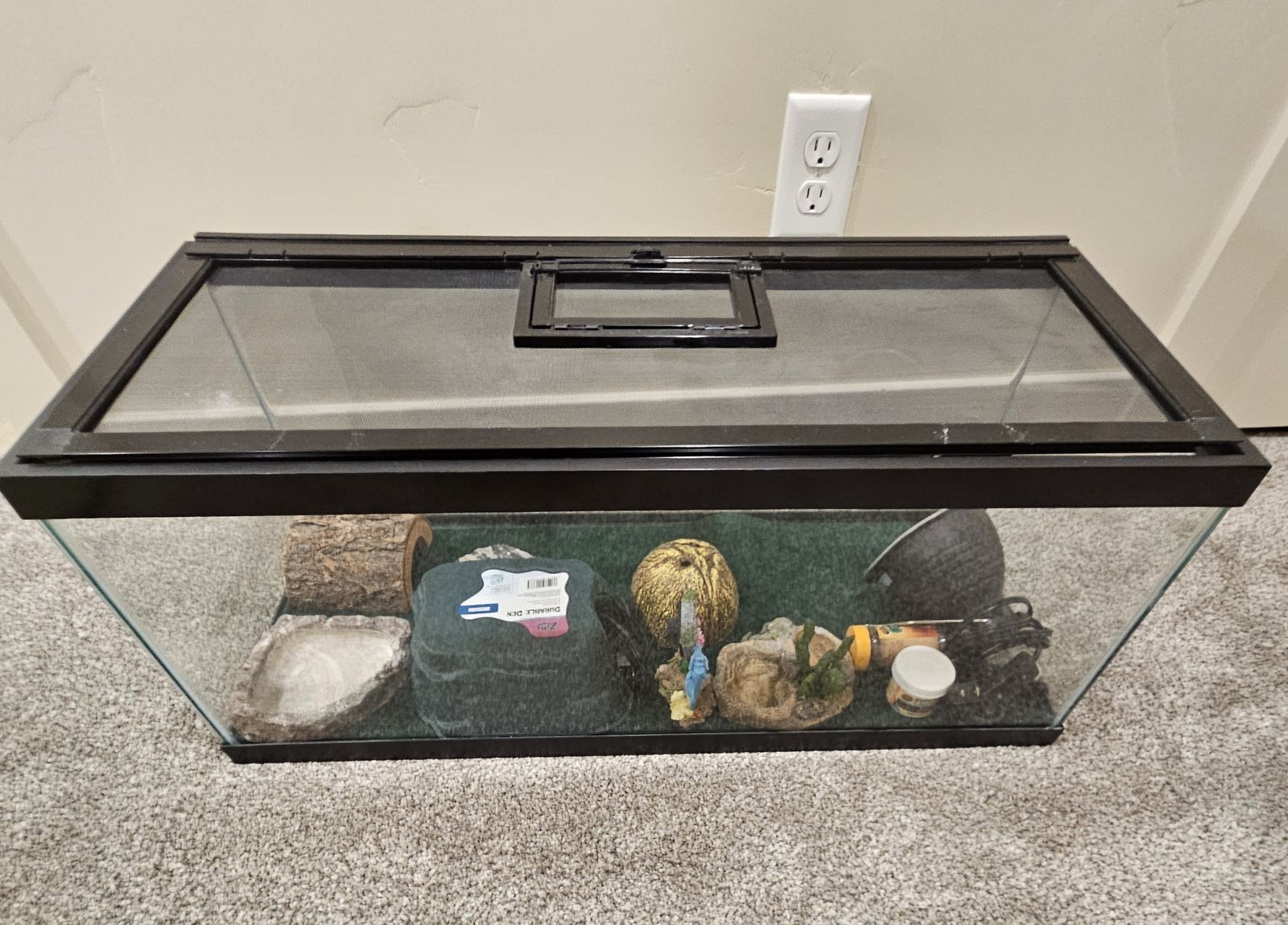 Terrarium and Supplies