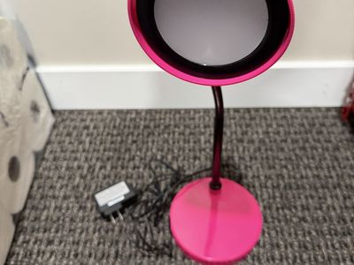 Pink Gooseneck Desk Lamp with Power Adapter