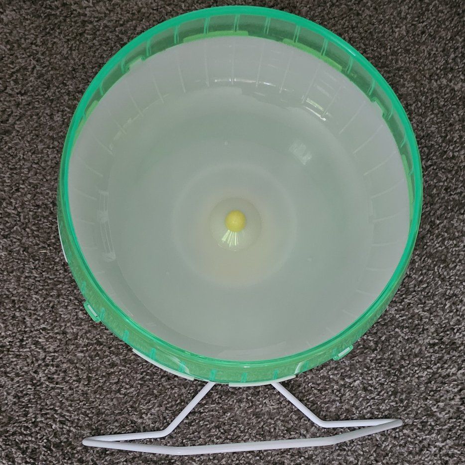 Animal Running Wheel