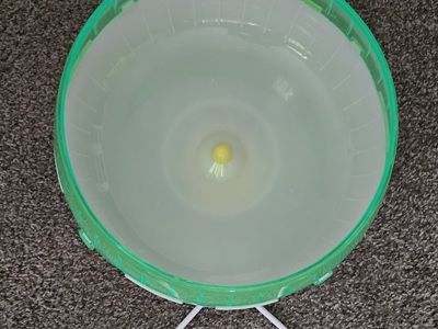 Animal Running Wheel