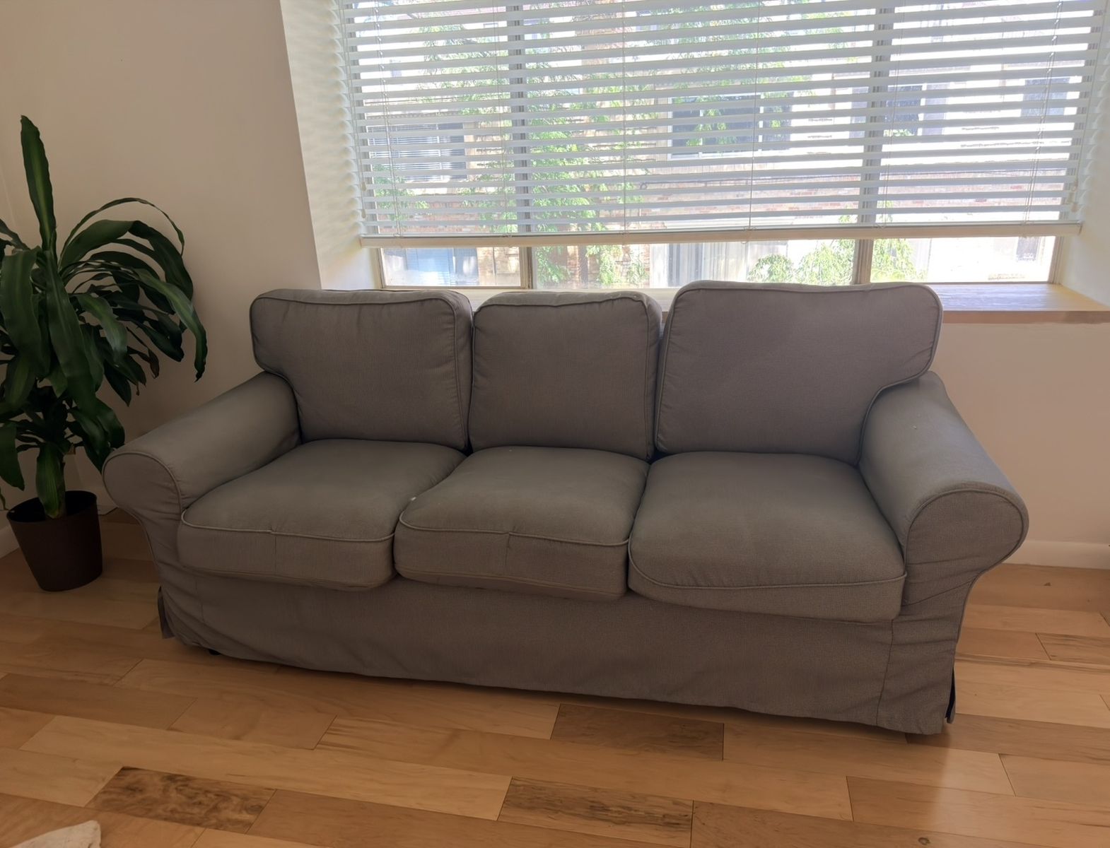 Free Couch and Chaise Lounge