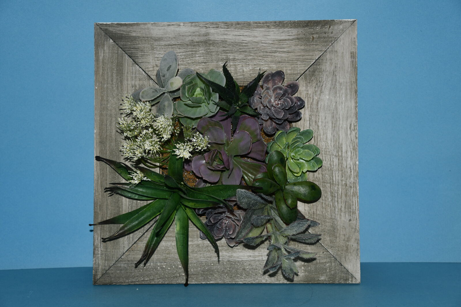 WALL HANGING ~ SUCCULENTS ~ 12" x 12" ~ NICE!