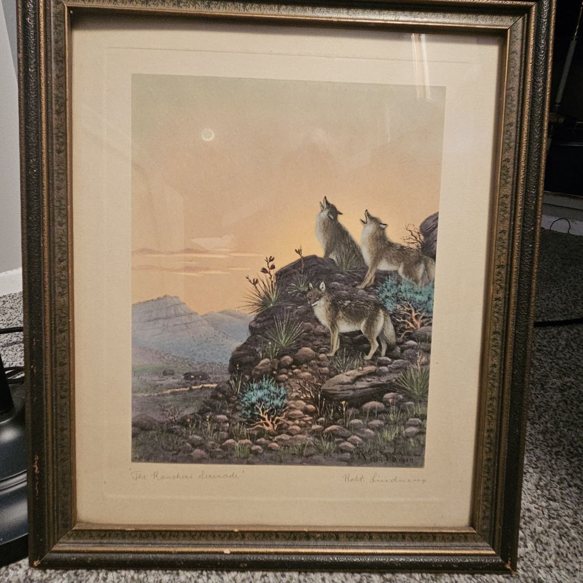 Limited antique drawing with wood frame