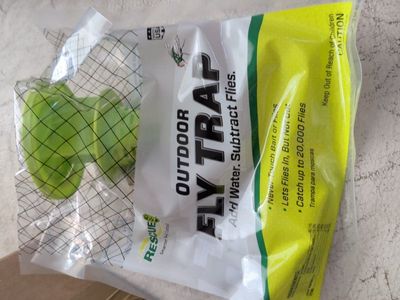 outdoor fly traps