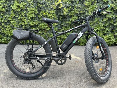 2 batteries 30mph ebike