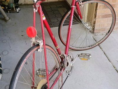 Panasonic Sport Deluxe 12 Speed