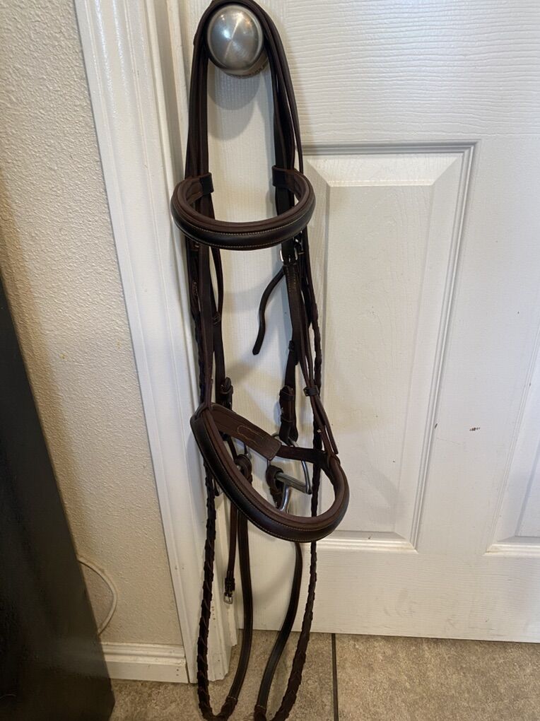 Custom Made Leather Headstall And Braided Reins