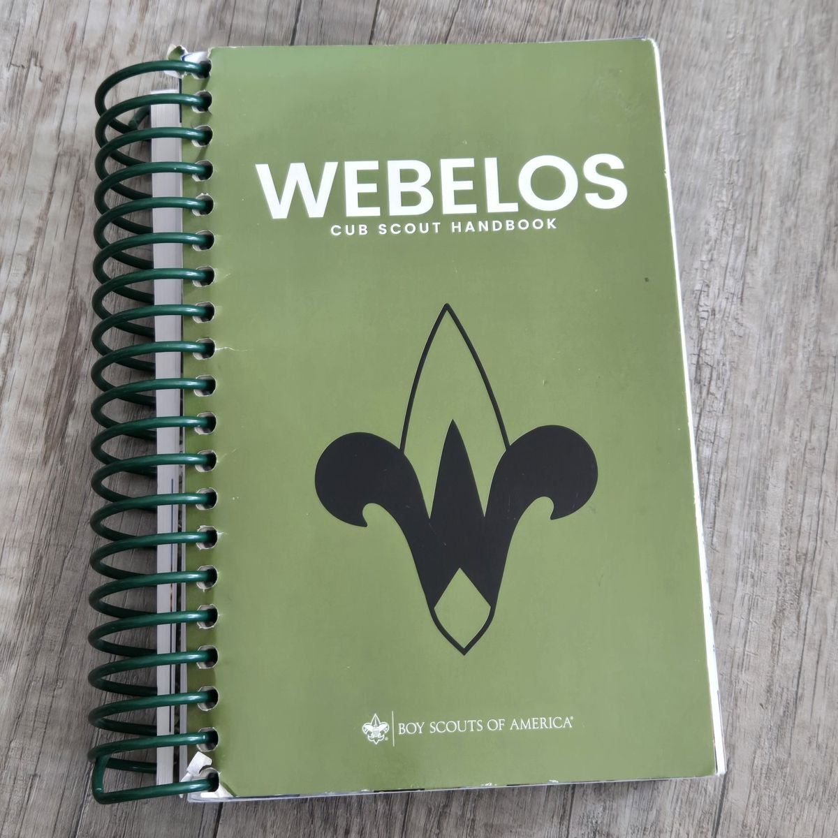 Webelos Cub Scouts Book