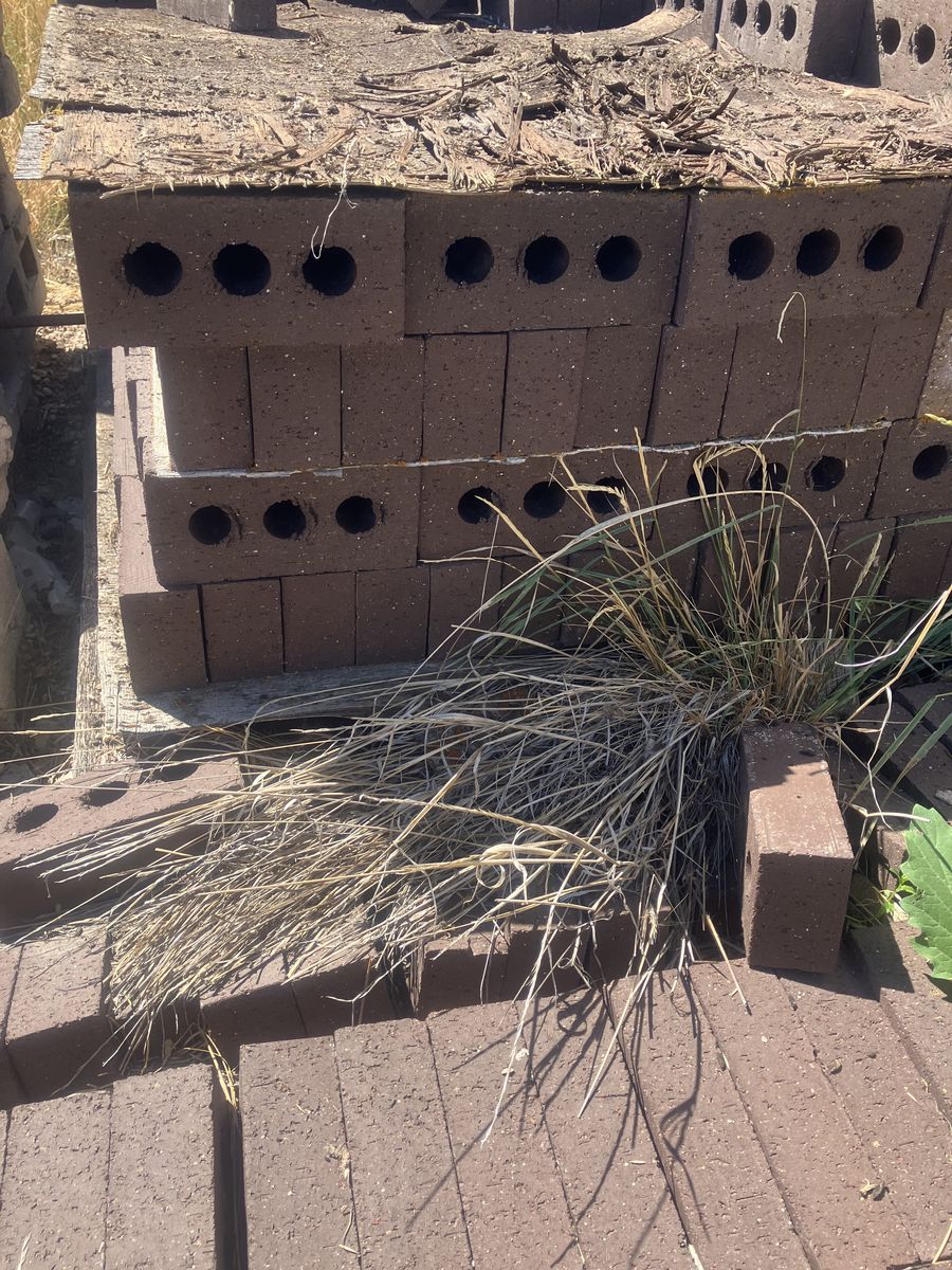 Bricks