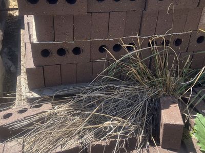 Bricks