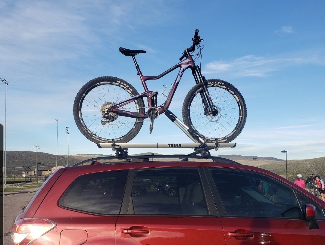 Thule Bike Carrier - Roof Mounted