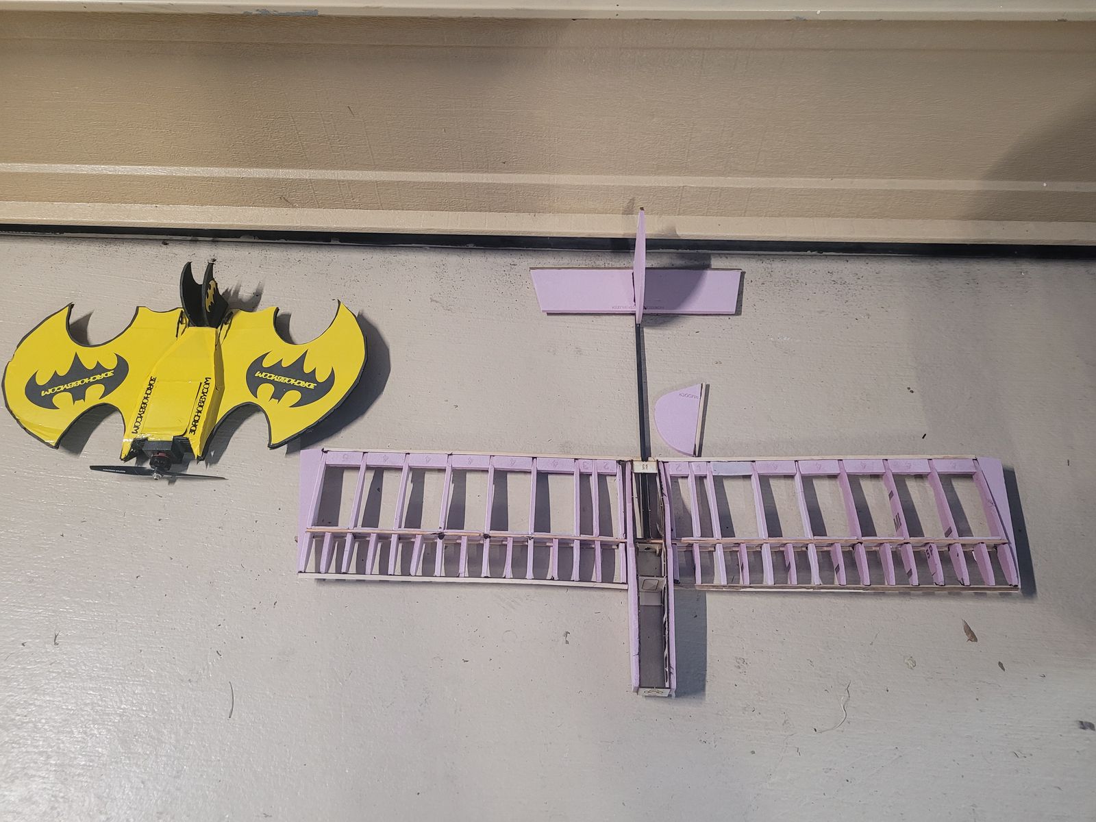 Foam RC Airplanes - 21" Bat Plane + "Carbon Stick" Plane