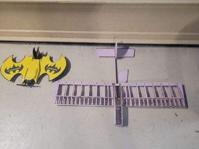 Foam RC Airplanes - 21" Bat Plane + "Carbon Stick" Plane