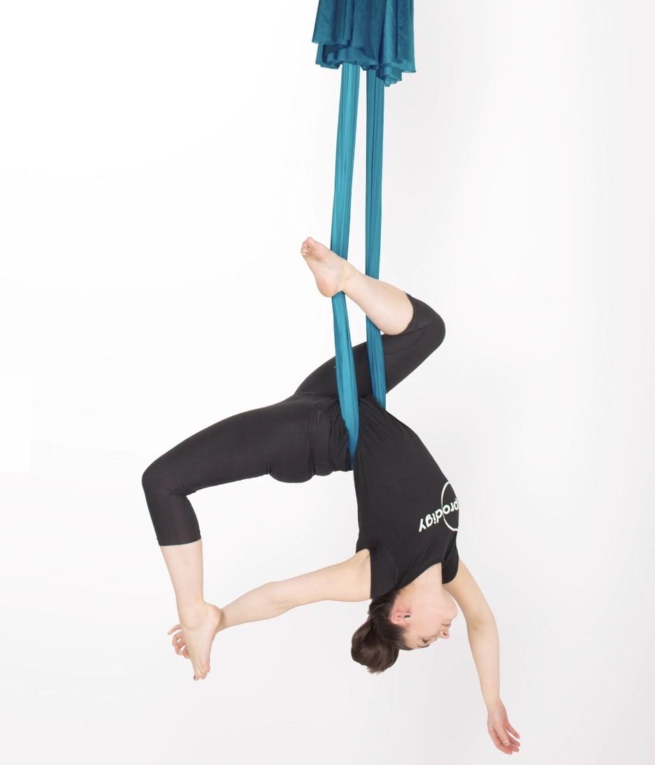 AERIAL SILKS Fabric Hammock Yoga Circus Arts!
