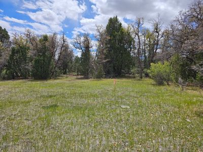 Beautiful 10ac Lot Near Zions