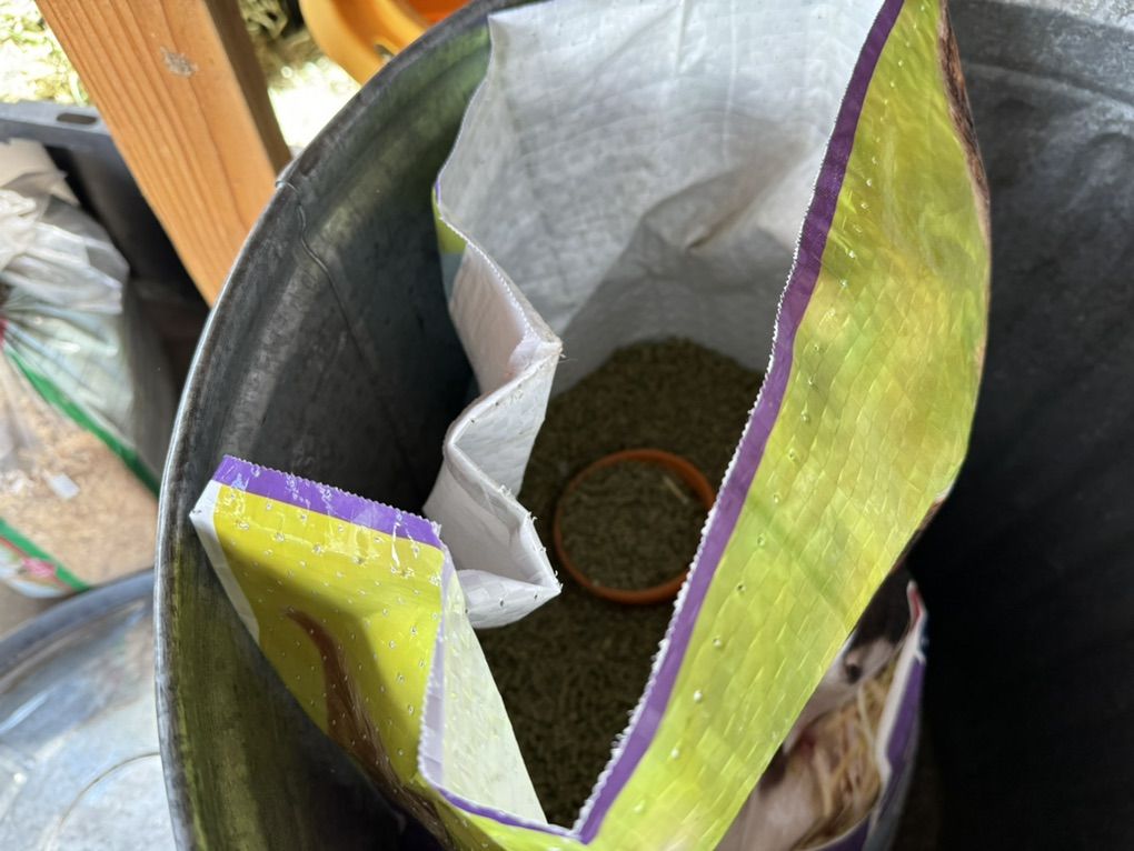 Main image 2
