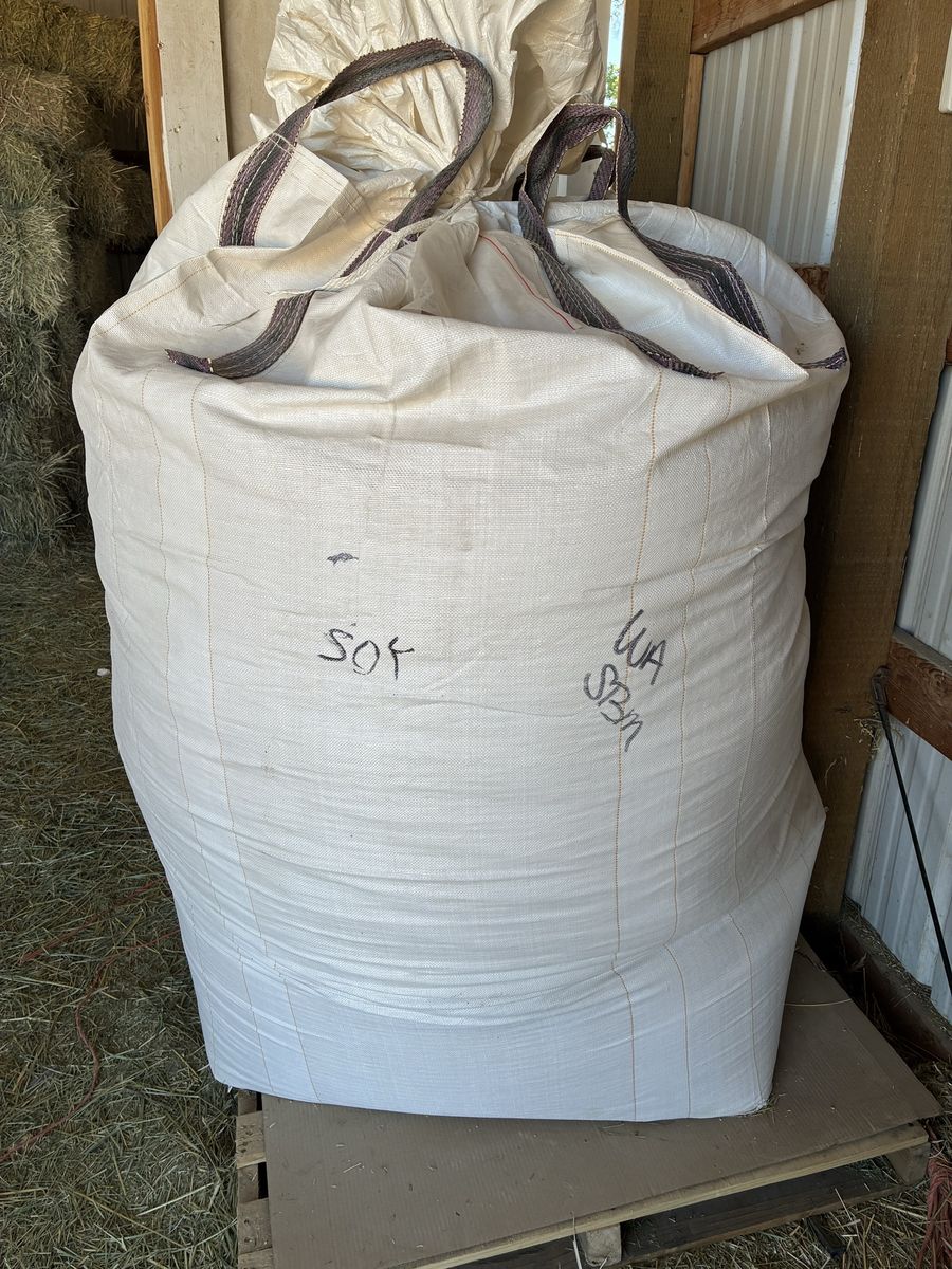 Bulk High Protein Soy