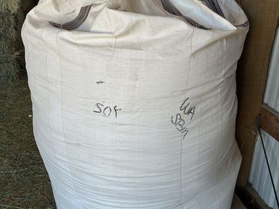 Bulk High Protein Soy