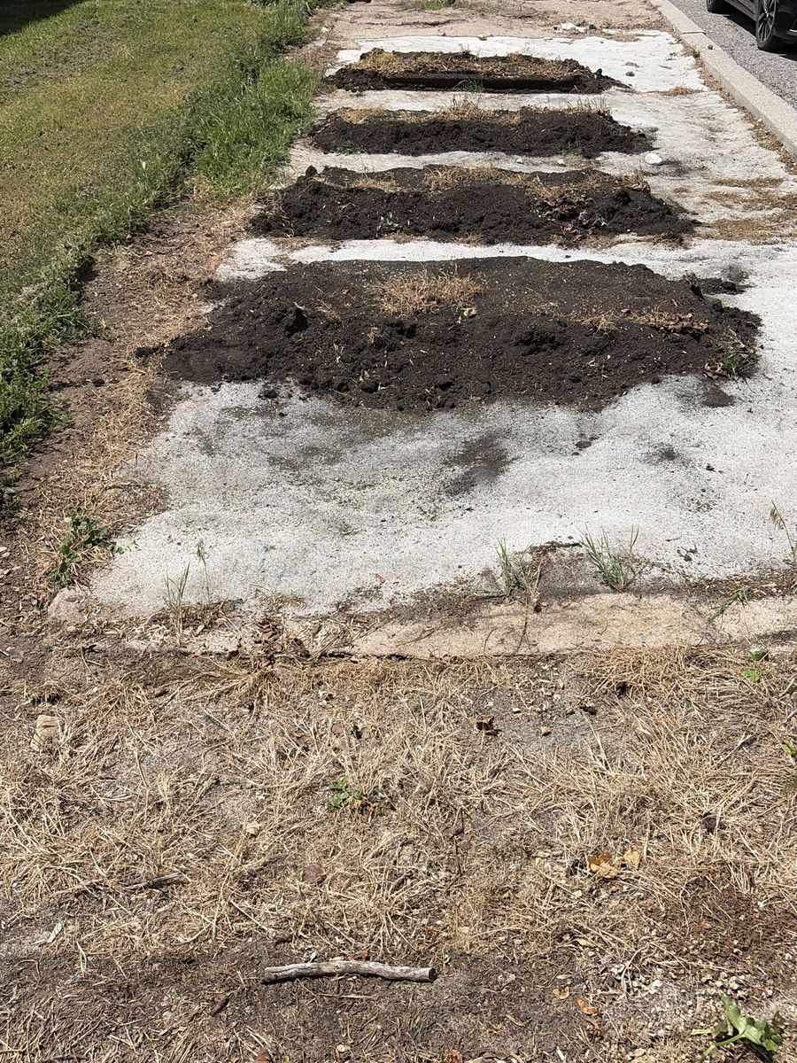 Free dirt