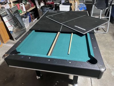 Pool and Pong Table