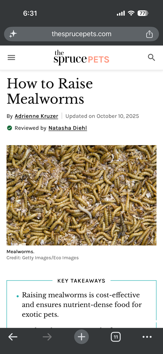 Mealworm farm