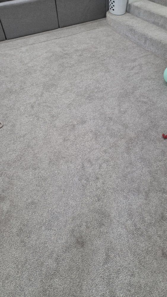 Free Carpet