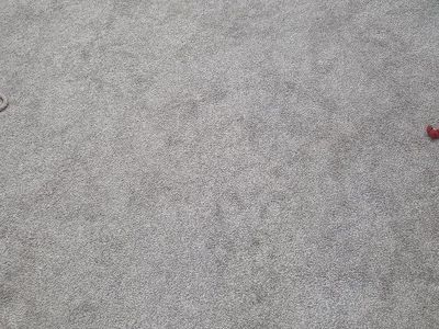 Free Carpet