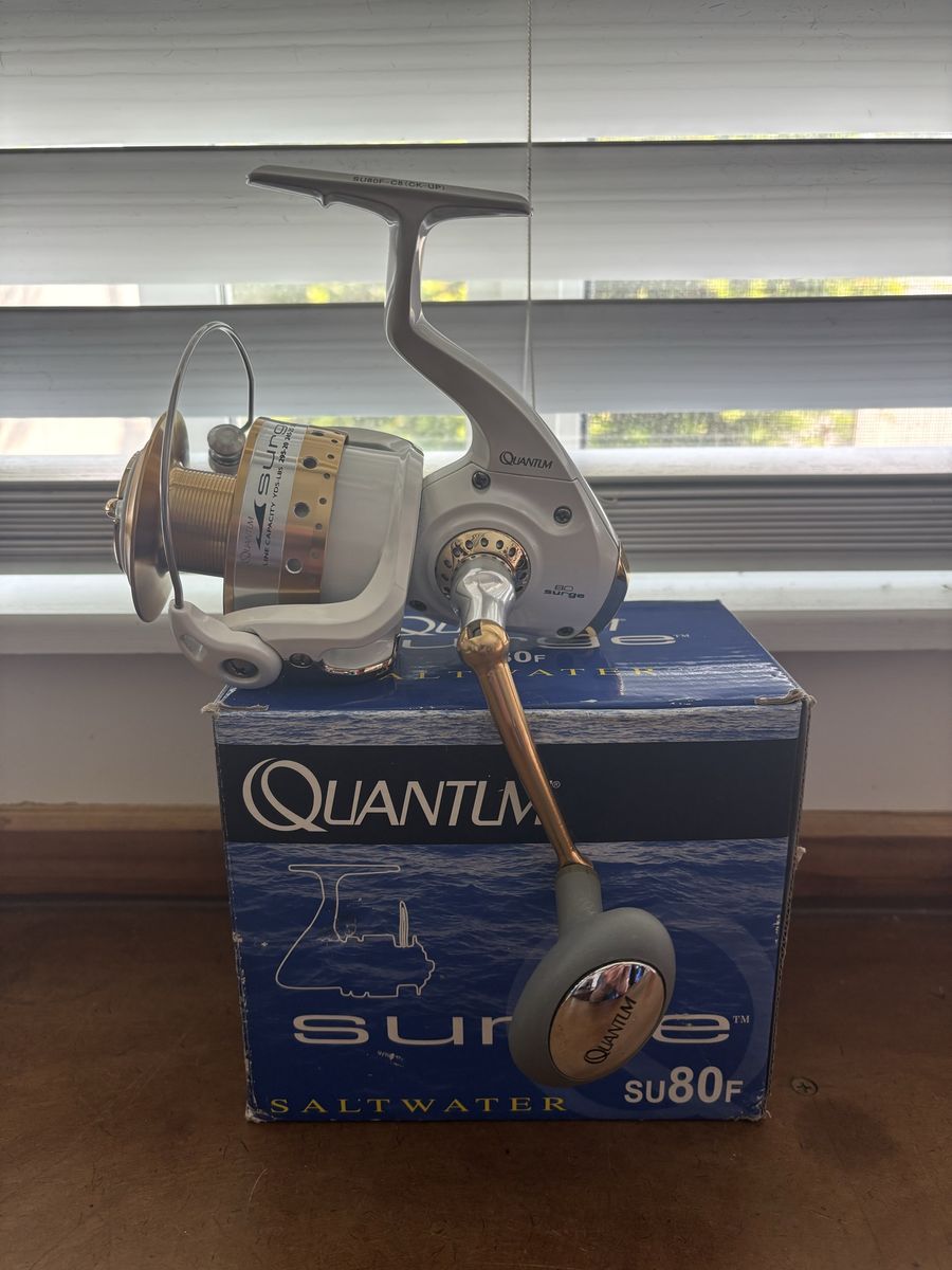 Quantum Surge SU80F Saltwater Spinning Fishing Reel and Cabelas DM45- New, Never Used
