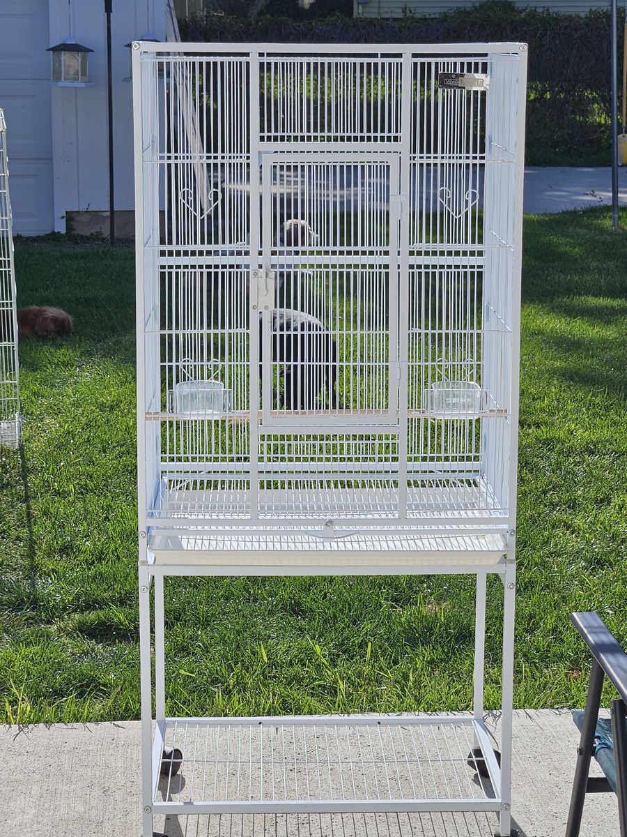 Bird cage