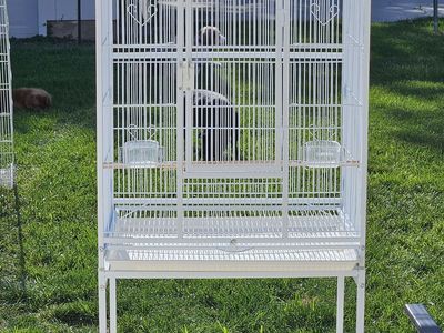 Bird cage