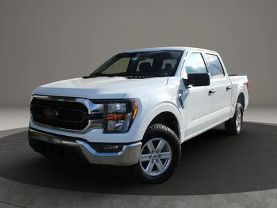 2023 FORD F150 XLT