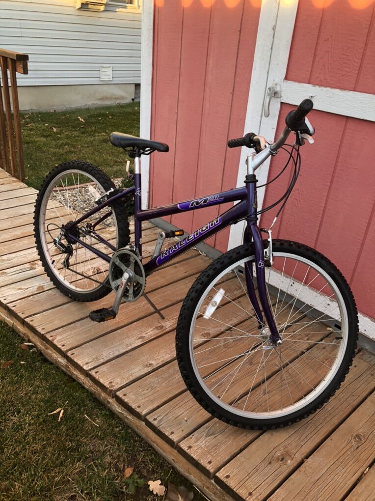 Raleigh M20 Mountian Bike
