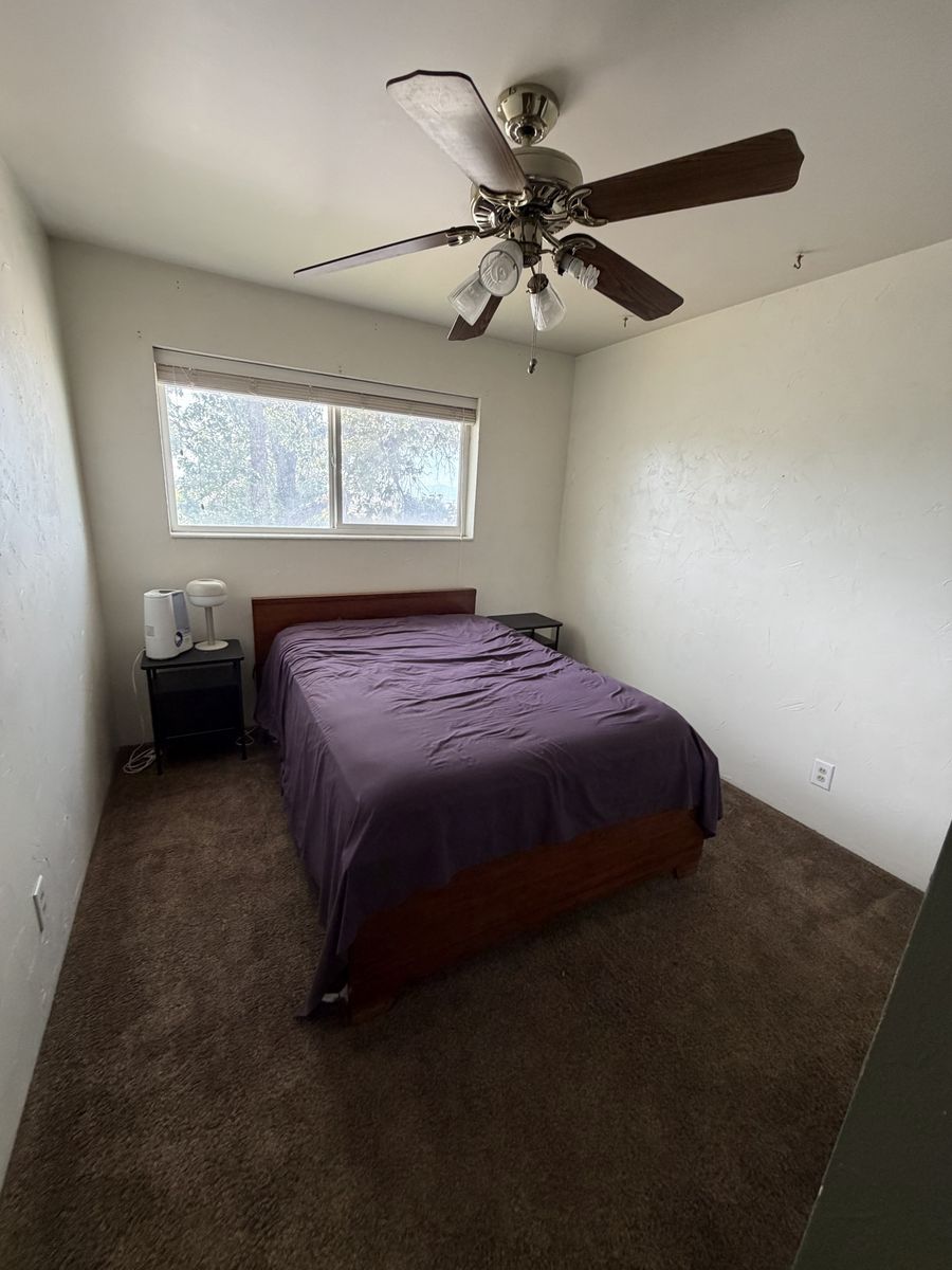 Main image 8