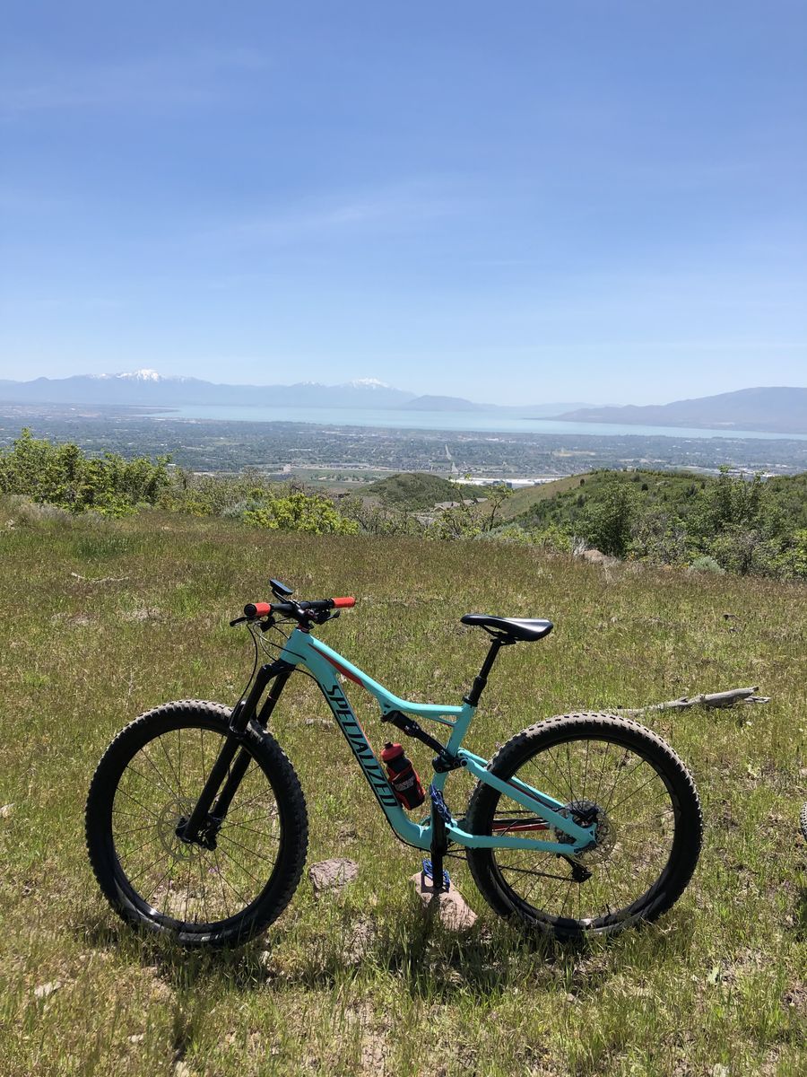 Womans StumpJumper Specialized Mountain Bike