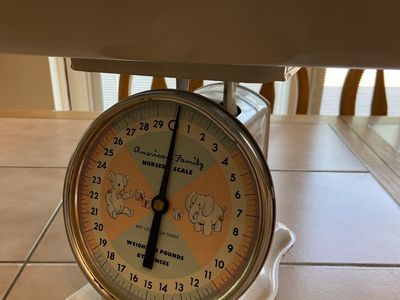 Vintage American Family Nursery Scale 30 lbs White Baby Scale