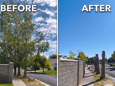 Landscaping Services | Yard Clean Up | Bark Installation | Paver Installation | Anguiano's Clean Up