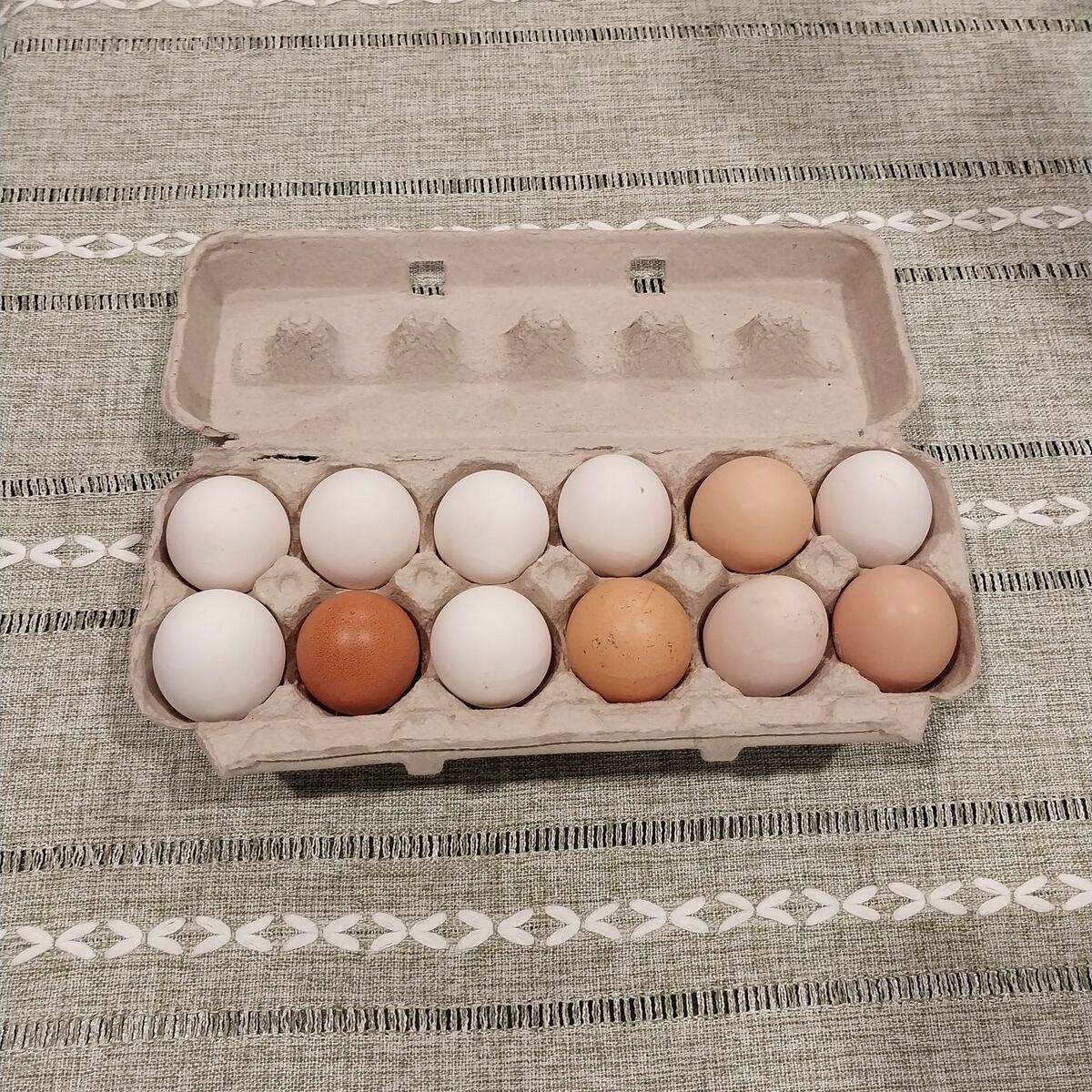 Fresh Organic Free-Range Chicken Eggs – $5/Dozen