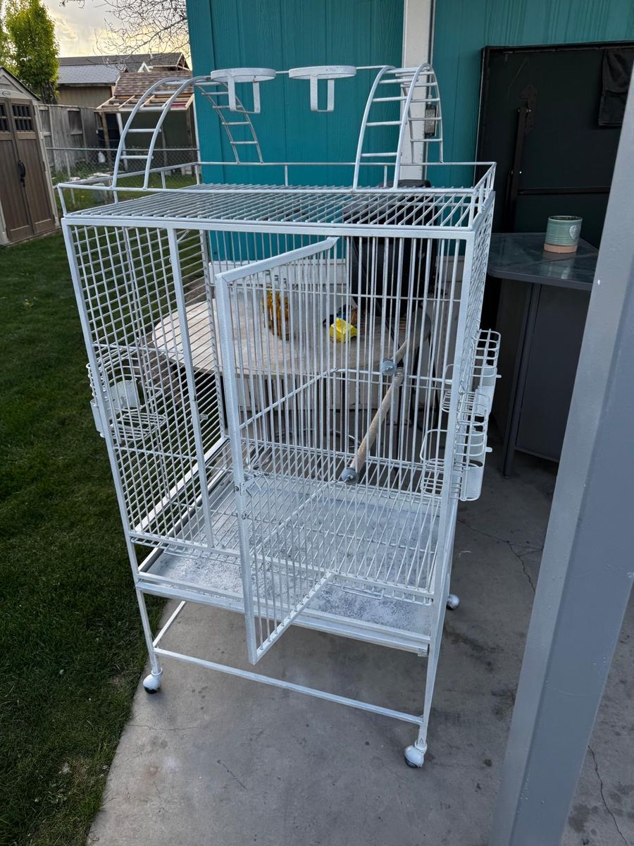 Cage Company 32" X 23" Play Top Bird Cage in White