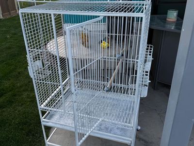 Cage Company 32" X 23" Play Top Bird Cage in White