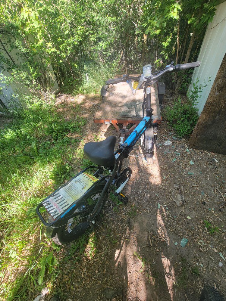 lectric bike new