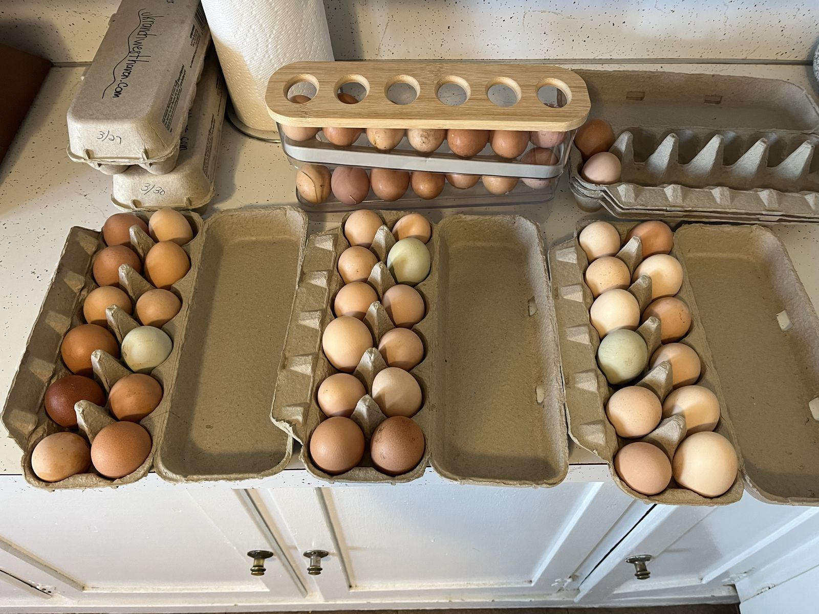 Farm Fresh Eggs