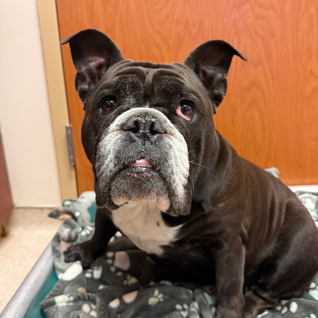 Hello my name is Stormy