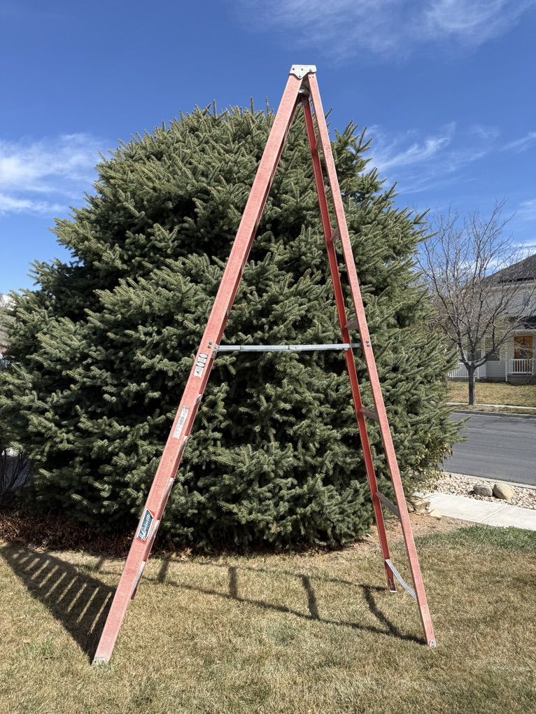12' Werner Fiberglass Ladder