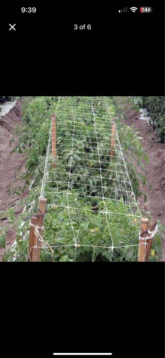 Netting Roll WHITE TRELLIS NETTING 7ft x 3280ft