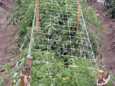 Netting Roll WHITE TRELLIS NETTING 7ft x 3280ft