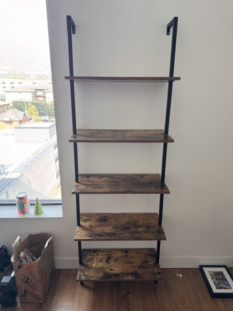 Ladder Shelf