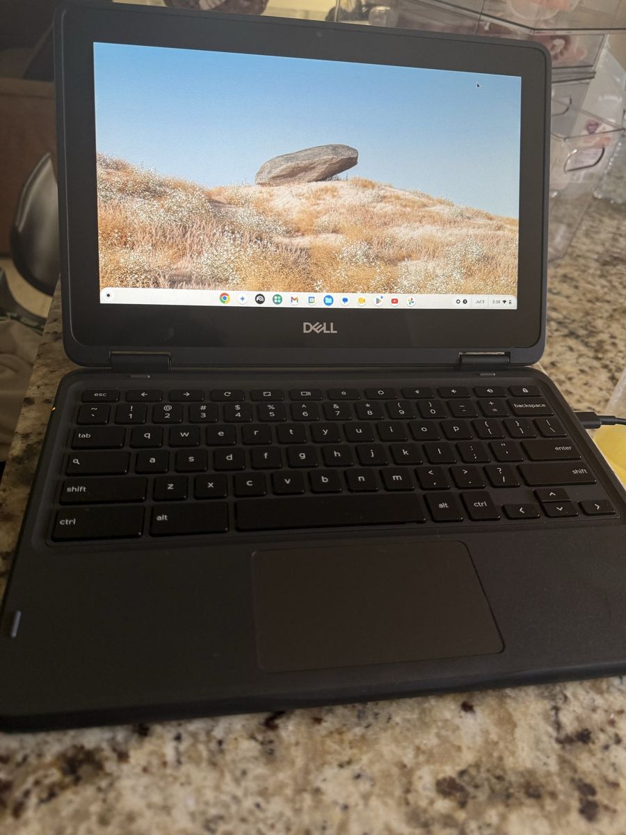 Dell Chromebook 3100 2in1